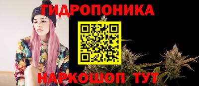 трава Аргун